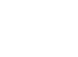 SPL_website_2020_client_logo_arome.png