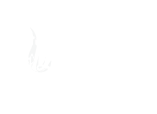 SPL_website_2020_client_logo_UST_school_of_humanities.png